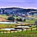 Expansive rural landscape featuring multiple ponds and horses grazing in the fields. - Olive Oil Times