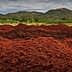 Large piles of olive pomace in a rural agricultural landscape with hills in the background. - Olive Oil Times
