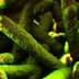 Microscopic view of Listeria bacteria with a greenish hue and elongated shapes. - Olive Oil Times
