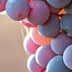 Close-up image of a cluster of grapes with varying shades of blue and purple. - Olive Oil Times