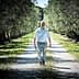 A man walking along a gravel path in an olive grove with trees on either side. - Olive Oil Times