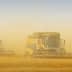 Two combine harvesters working in a field surrounded by dust during harvest season. - Olive Oil Times