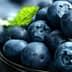 A close-up view of fresh blueberries in a bowl with mint leaves for garnish. - Olive Oil Times