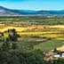 Expansive agricultural landscape featuring fields and mountains in the background. - Olive Oil Times