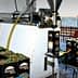 Olive oil production setup with boxes of Karpos olives and filling machine in a processing area. - Olive Oil Times