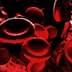 Illustration of red blood cells moving through a blood vessel in a digital representation. - Olive Oil Times