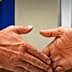 Two hands shaking in front of the European Union and Japan flags. - Olive Oil Times