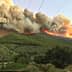 Smoke and flames rising from a wildfire in a mountainous region with trees below. - Olive Oil Times