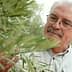 Man examining an olive tree branch with green olives in a natural setting. - Olive Oil Times