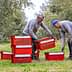 Two men arranging red harvesting baskets in an olive grove during the olive collection process. - Olive Oil Times