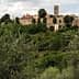 A hilltop village with stone buildings and a tower, surrounded by olive trees and greenery. - Olive Oil Times