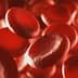 Close-up view of red blood cells in a microscopic image showing their round shape and texture. - Olive Oil Times