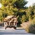 A truck loaded with bags driving down a dirt road surrounded by greenery. - Olive Oil Times