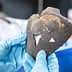 A person holding a fragment of a Celtic ceramic artifact with distinct shapes and textures. - Olive Oil Times