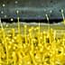 Yellow paint splashes creating droplets in an abstract pattern. - Olive Oil Times