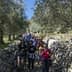 A group of people walking along a path surrounded by olive trees and stone walls. - Olive Oil Times