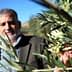Man standing in an olive grove, holding an olive branch with olives in focus. - Olive Oil Times