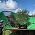 A worker operating olive harvesting equipment with a green cover and an olive tree inside the machine. - Olive Oil Times