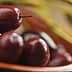 A close-up view of Kalamata olives in a bowl, showcasing their dark purple color and glossy surface. - Olive Oil Times