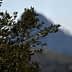 Close-up of an olive tree branch with a mountain in the background. - Olive Oil Times