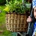Elderly woman wearing traditional clothing and a headscarf, holding a basket of flowers. - Olive Oil Times