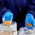 Individual wearing blue gloves holding two bags with different powdered substances in each hand. - Olive Oil Times