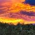 A vibrant sunset with orange and purple hues over a landscape of olive trees. - Olive Oil Times