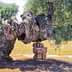An ancient olive tree with a twisted trunk supported by stone blocks in a field. - Olive Oil Times