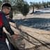 Two individuals in protective gear gathering olives using a large net in an olive grove. - Olive Oil Times