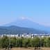 Mount Fuji visible in the background with a cityscape and trees in the foreground. - Olive Oil Times
