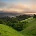 Lush green hills featuring trees under a cloudy sunset sky with mist in the background. - Olive Oil Times