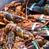 A collection of lobsters with bands on their claws inside a container. - Olive Oil Times
