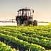 A tractor spraying crops in a field with rows of green plants under a clear sky. - Olive Oil Times