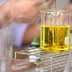 A beaker containing yellow liquid being filled in a laboratory environment with glassware in the background. - Olive Oil Times