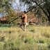 Individual holding a long pole while standing in a grassy field with trees in the background. - Olive Oil Times