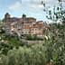 View of the Trequanda province of Siena with olive trees in the foreground and buildings in the background. - Olive Oil Times