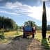 Red agricultural tractor parked on a dirt path next to a vineyard and cypress tree. - Olive Oil Times
