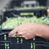 Close-up of a person's hand gripping a black crate filled with green plants or leaves. - Olive Oil Times