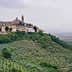 A hilltop village with buildings and a church tower, surrounded by olive trees and rolling hills. - Olive Oil Times