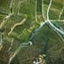 Aerial view of neatly arranged vineyards with rows of grapevines and dirt paths. - Olive Oil Times