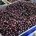 A large tray filled with dark black olives, showcasing their smooth surface and oval shape. - Olive Oil Times