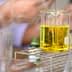 A laboratory beaker containing yellow liquid being filled from a pipette. - Olive Oil Times