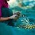 Person wearing gloves sorting olives during the harvesting process on a green net. - Olive Oil Times