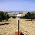 Monitoring device positioned in an olive grove with trees in the background. - Olive Oil Times
