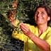 Woman in a yellow shirt picking olives from an olive tree with a smile on her face. - Olive Oil Times