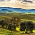 Landscape featuring rolling green hills and olive trees under a cloudy sky. - Olive Oil Times