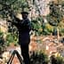 A person pruning an olive tree while standing on a ladder in a mountainous area. - Olive Oil Times