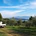 A pickup truck parked in an olive grove with trees and mountains in the background. - Olive Oil Times