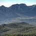 Mountainous landscape featuring rolling hills covered with olive trees and rocky peaks in the background. - Olive Oil Times