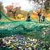 Workers collecting olives from the ground using green nets during the harvesting process. - Olive Oil Times